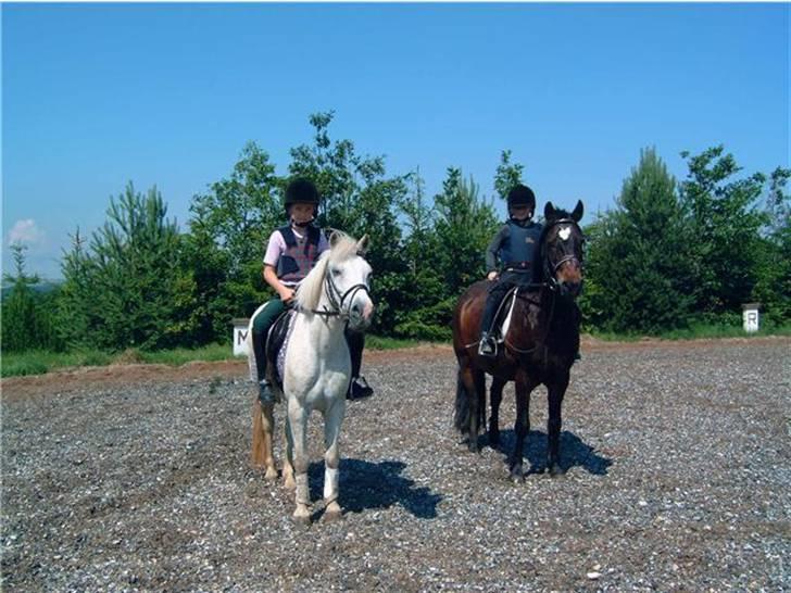 Connemara Bobby Af Boest-Nørregaard - Haha xD 100 År siden <3 med Cille ;D  billede 6