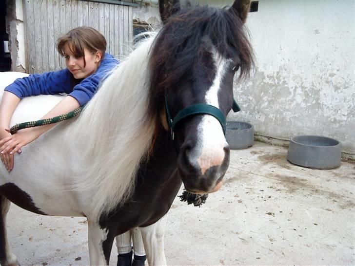 Anden særlig race Cervinagaards Mikja - hun er meget ligeglad med jeg ligge mig hen over ryggen hehe min lille bby piig =) billede 19