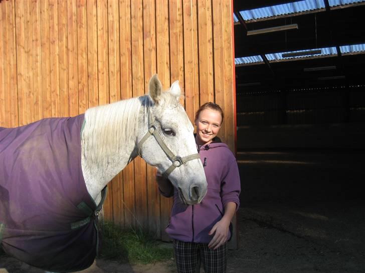 Anglo Araber (AA) Mørkbak's Malaika *Solgt* - Min første dag med hende !<3 Foto: Mor  billede 4