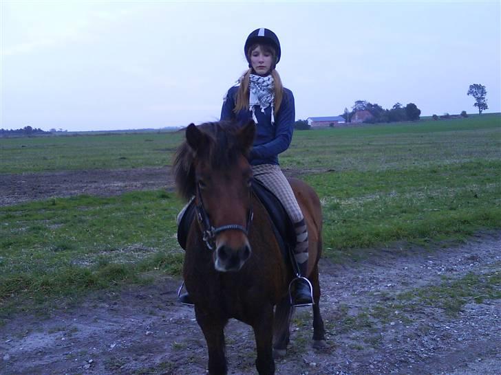 Islænder fluga - vi er liqe på en lille tur efter ridning på banen!<3:) billede 14