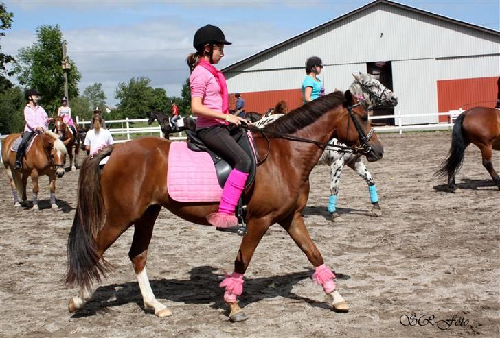 DSP Jasmin - Solgt - Show opvarmning... så pink kan man være <3 SR foto billede 2