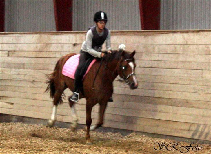 DSP Jasmin - Solgt - Ponygames... SR foto billede 18