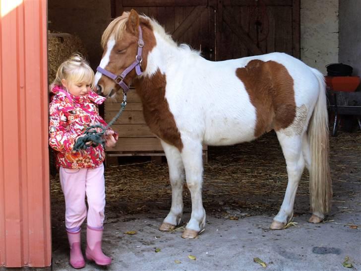 Anden særlig race lille john ¤solgt¤ - første morgen hos min nye familie billede 1