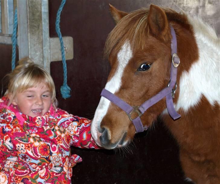 Anden særlig race lille john ¤solgt¤ - hun er nu sød den her lille pige, hun kommer med gulerødder billede 2