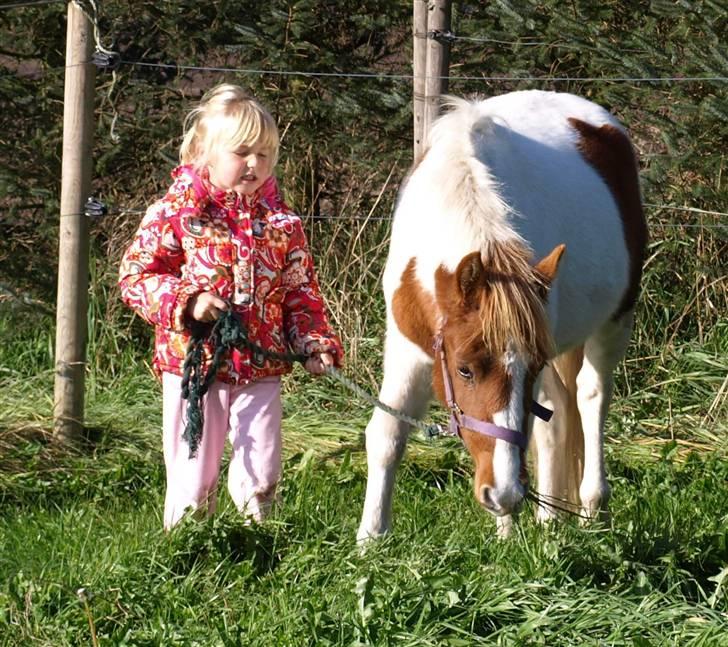 Anden særlig race lille john ¤solgt¤ - kom maya vi skal her hen billede 4
