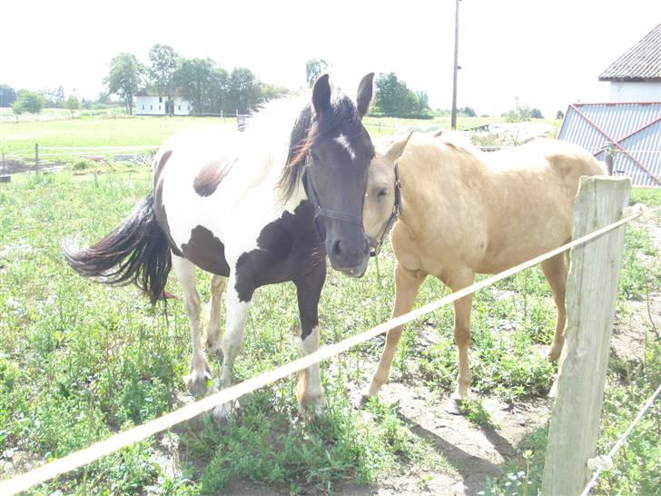 Barockpinto La Santa billede 2