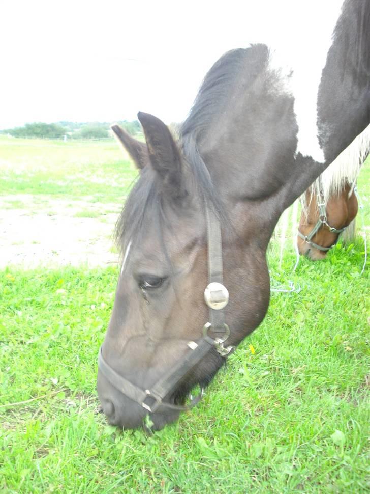 Barockpinto La Santa billede 3