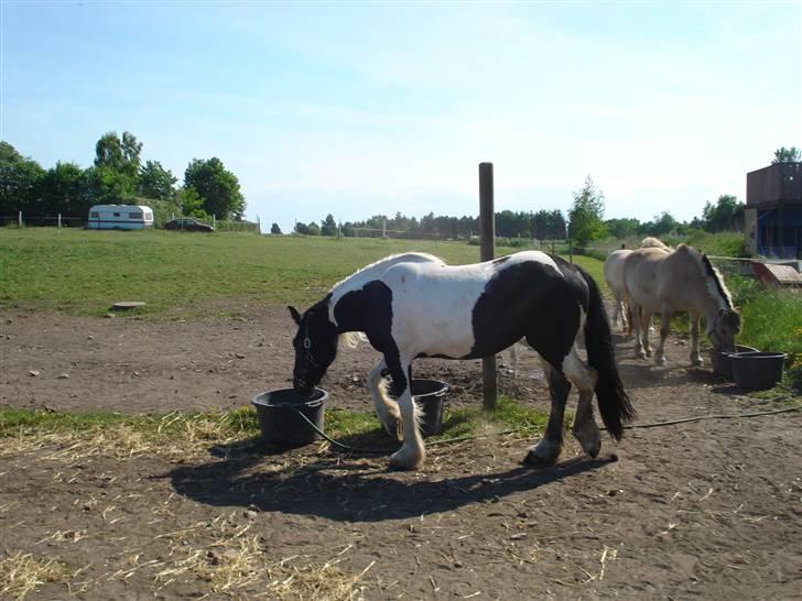 Barockpinto La Santa billede 4