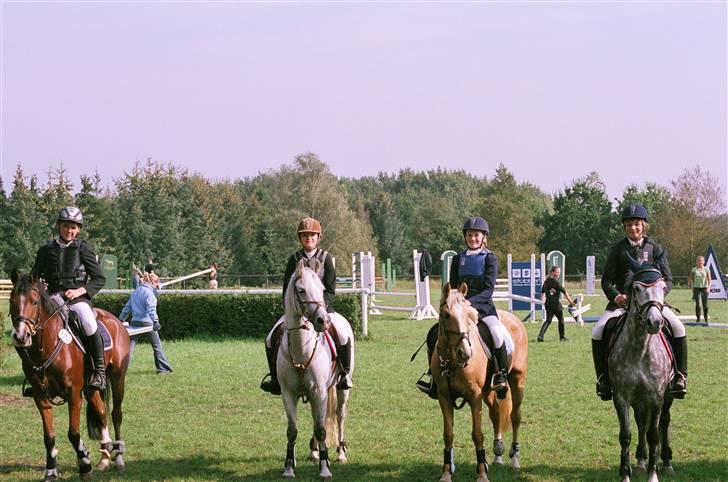 New Forest Odbjergs Isabell er slogt billede 13