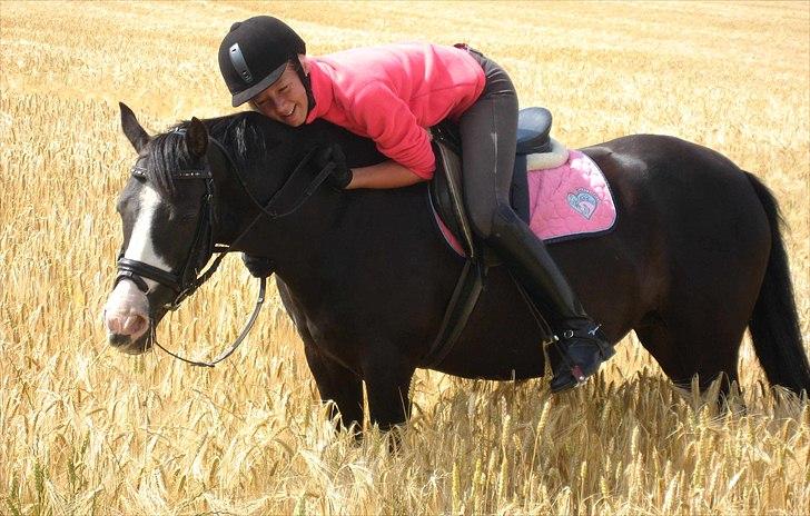 Anden særlig race Columbine  - Min skønne pony og jeg hygger. billede 4