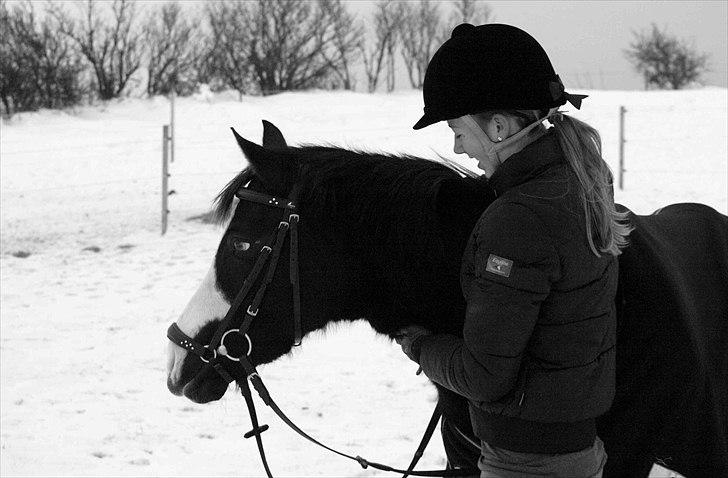 Anden særlig race Columbine  -  Vores sidste tur sammen d. 21 december 09.  billede 6