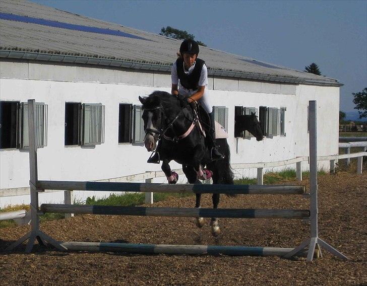 Anden særlig race Columbine  - Sommer 2008 :-) billede 11
