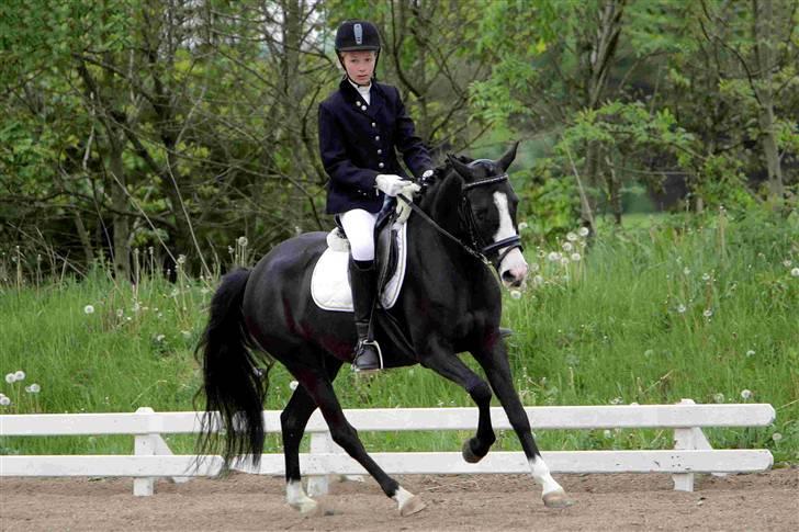 Anden særlig race Columbine  - stævne KBK 2007 - photo2u.dk billede 16