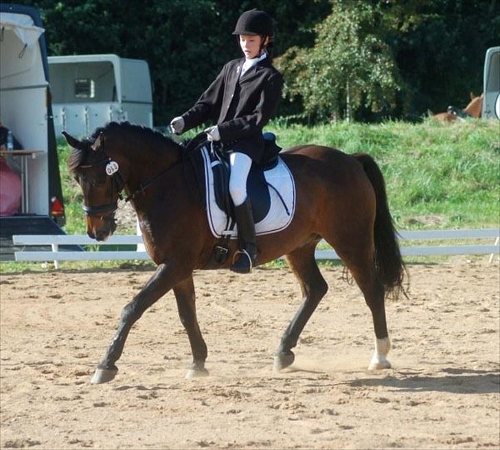 Anden særlig race Bakkelys Felur *Solgt* - Taget af Louise Mølby :D billede 8