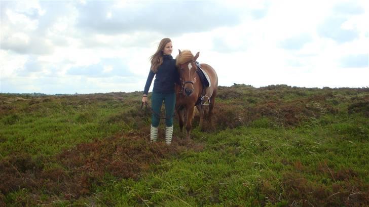 Islænder Mánadis - Velkomme. .  SÅÅ FLOT!! xD fotograf: Tina<3 billede 1