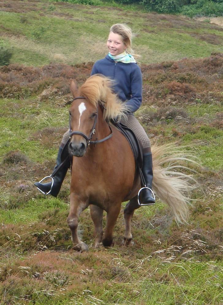 Islænder Mánadis - Whii gallop i  heden<3 Fotograf: Anne billede 3