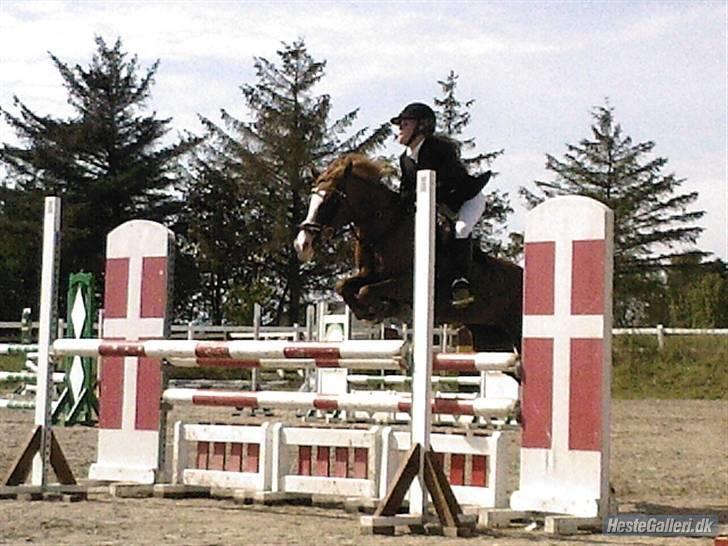 Anden særlig race Ratina - la på hsk billede 7
