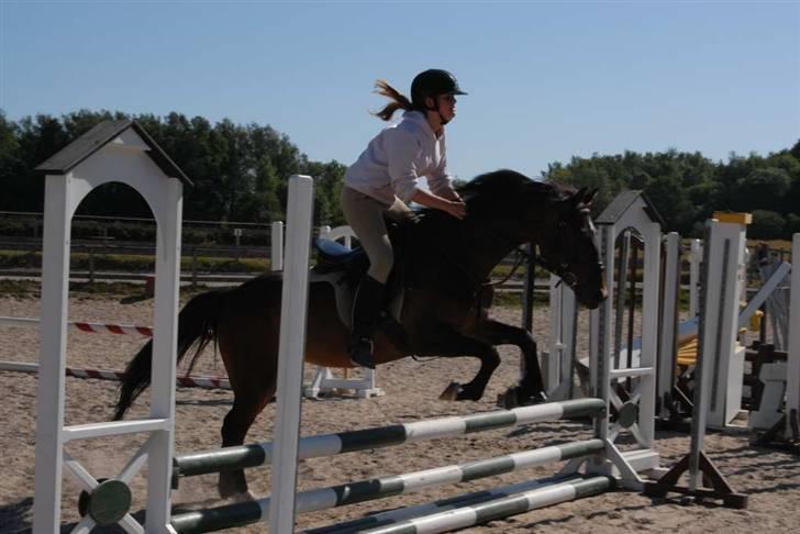 Tysk Sportspony Tequila  - Ridelejr stævne ´08  billede 3