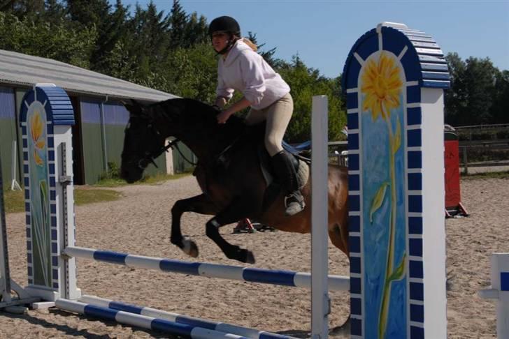 Tysk Sportspony Tequila  - Ridelejr stævne ´08 billede 4