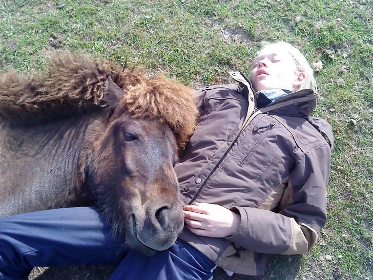 Islænder Ari fra Maag - Et godt TEAM :D billede 10