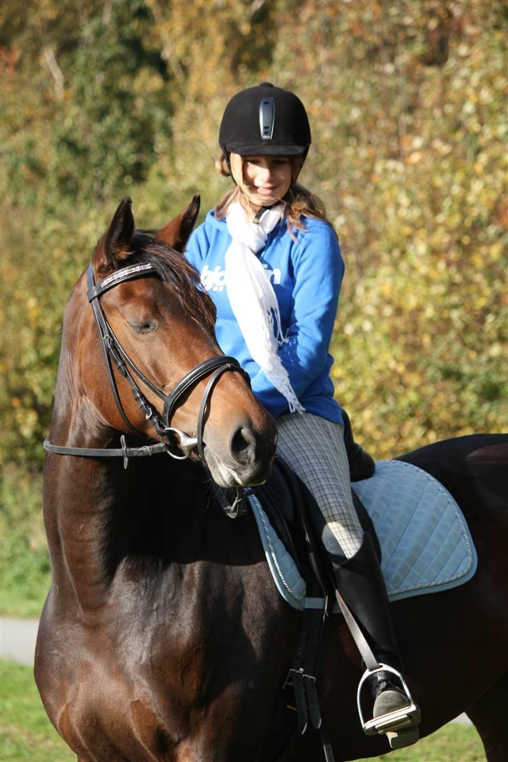 Dansk Varmblod Magic Charity *R.I.P* - Nåår<3 Foto: Crillo billede 6