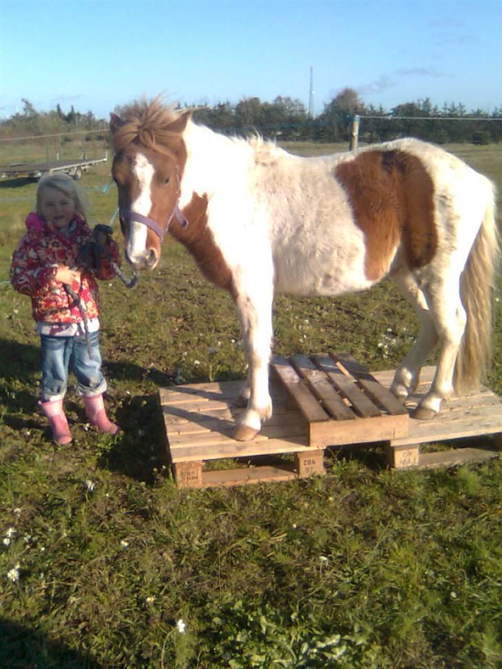 Anden særlig race lille john ¤solgt¤ - ja ja hvis maya syntes der er sjov så okay med mig billede 10