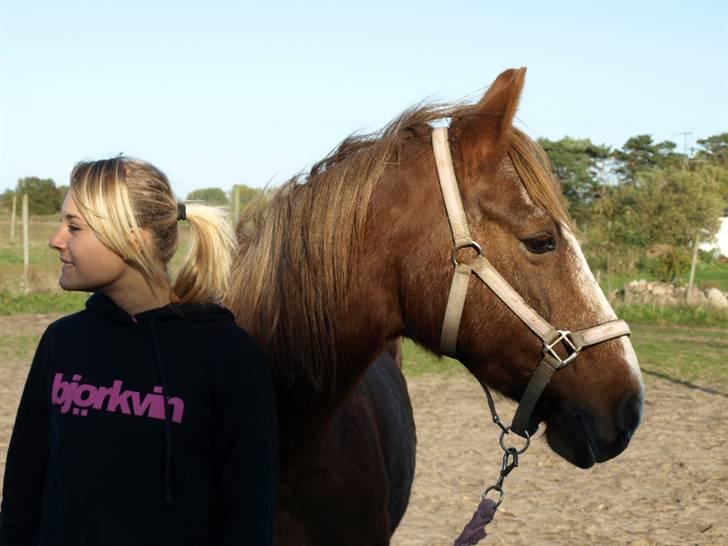 Anden særlig race Difko<3 billede 15