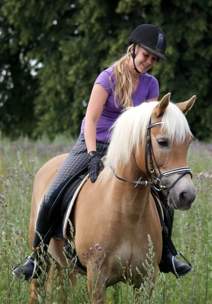 Haflinger Aphrodite Vant Tempelshof - Billed 7: Fordi du kan blive vild ;p | Foto: Emilie 2 - Med mit kamera billede 7