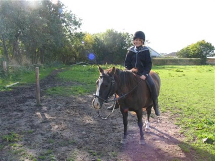 Anden særlig race Tara  billede 6