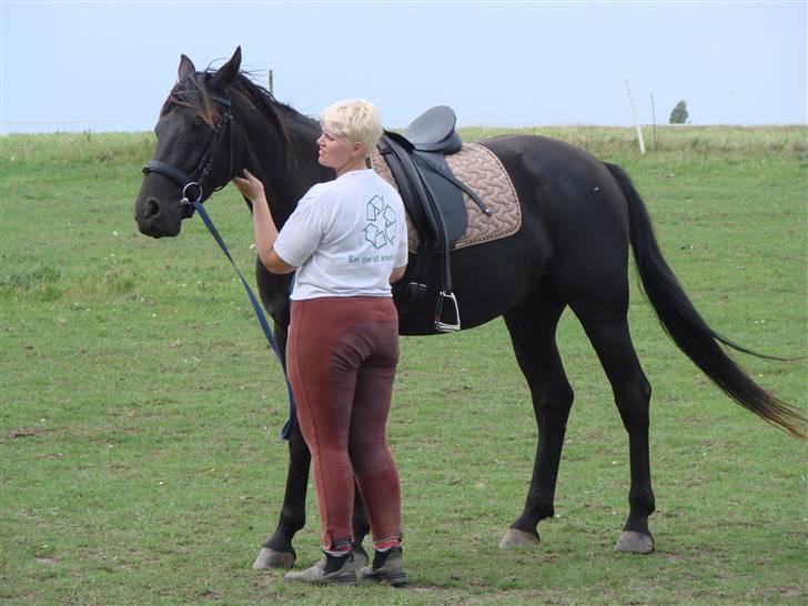 Oldenborg Okholms Makker  - Tilridning igang! billede 18