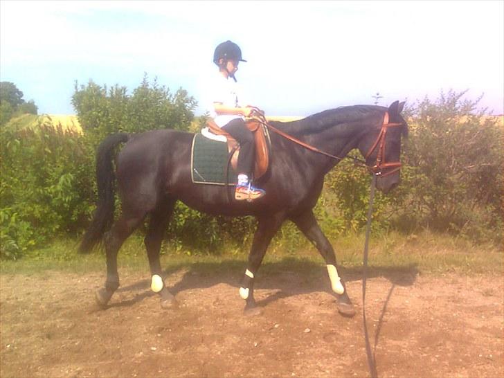 Oldenborg Okholms Makker  - Makker og Patrick! 1.gang Patrick sidder på ham! billede 19
