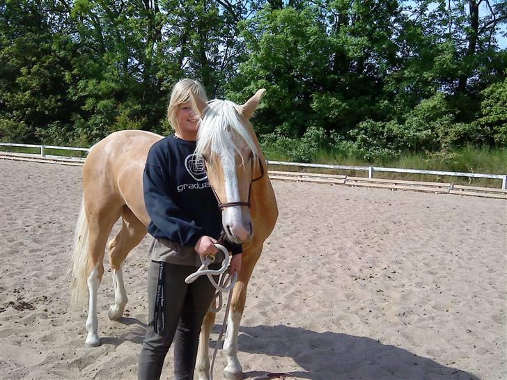 Palomino Lysgaards Dior - Himmelhest <3 billede 9