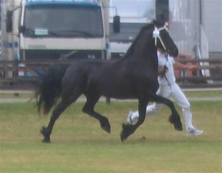 Frieser Gaia Hvalløs billede 9