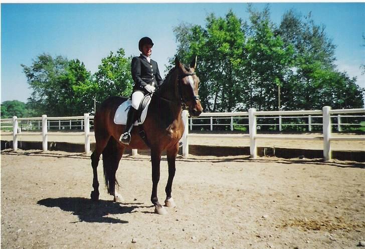 Dansk Varmblod CLAIRE - Claire og mig til stævne billede 5