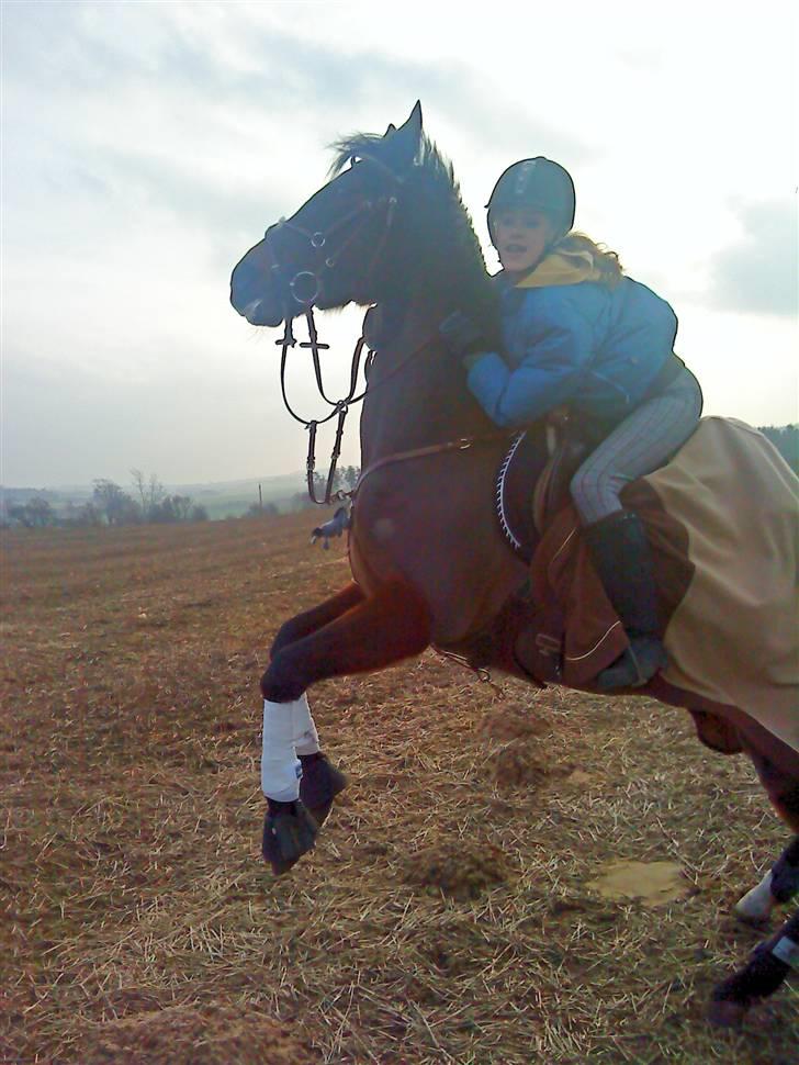 Anden særlig race Bonnie - Hyp? billede 5