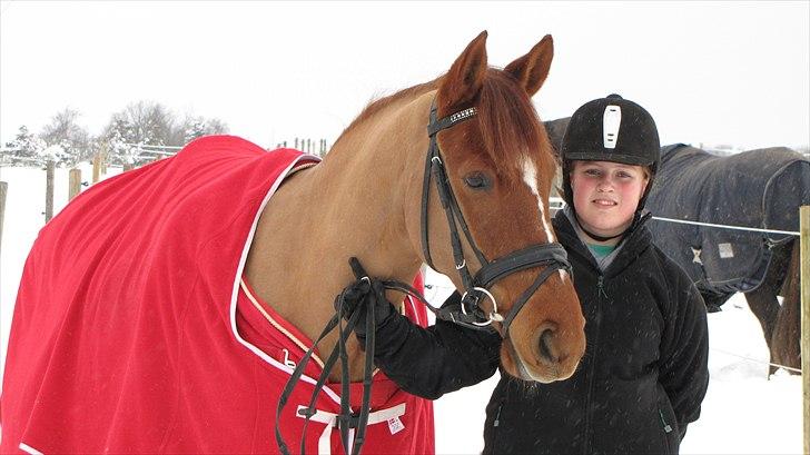 Anden særlig race Dalvangs Lurifax - Lurifax og Mia i sneen 2010. billede 14