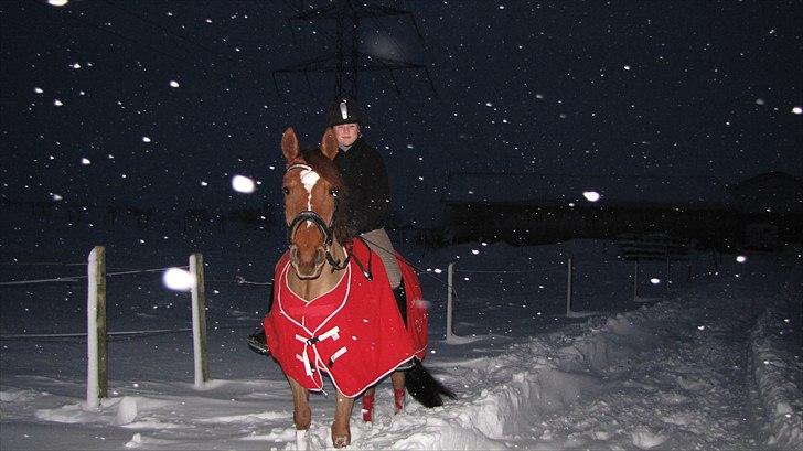 Anden særlig race Dalvangs Lurifax - Lurifax og jeg i sneen  nov. 2010. billede 15