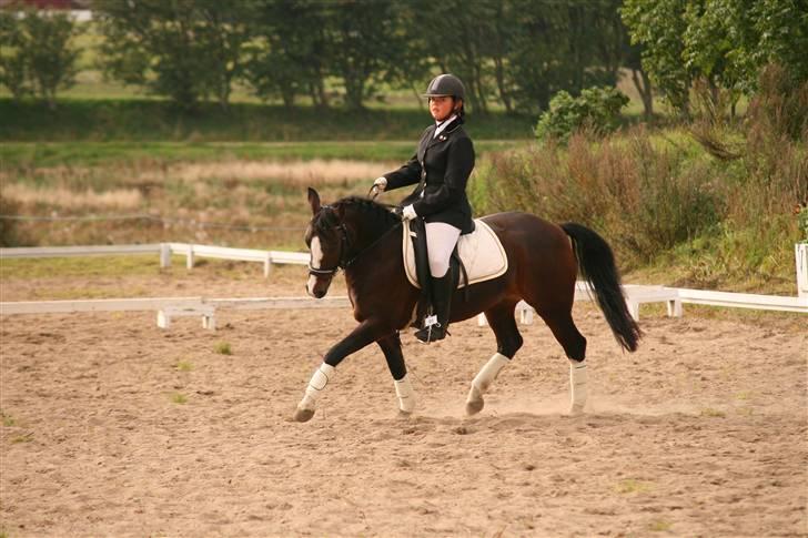 New Forest Vognmandgaardens Finish - Finish til områdemesterskab med andrea<3 Hun gik til finalen. Foto: Alex Jørgensen billede 19