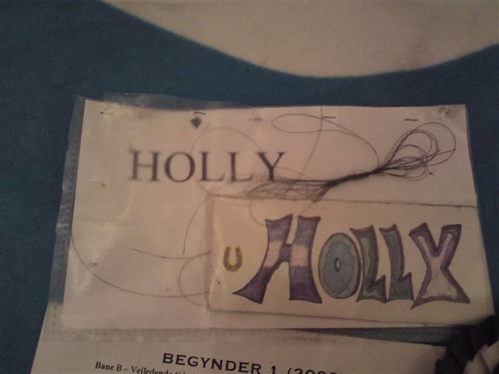 Fjordhest Holly † R.I.P †  - Navne skilte. I miss you :( billede 3