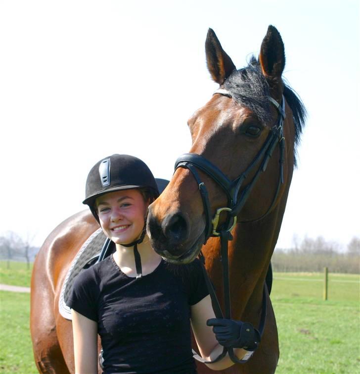 Trakehner Hiohito - Elsker min Hio <3 (Foto af Joan xD) billede 15