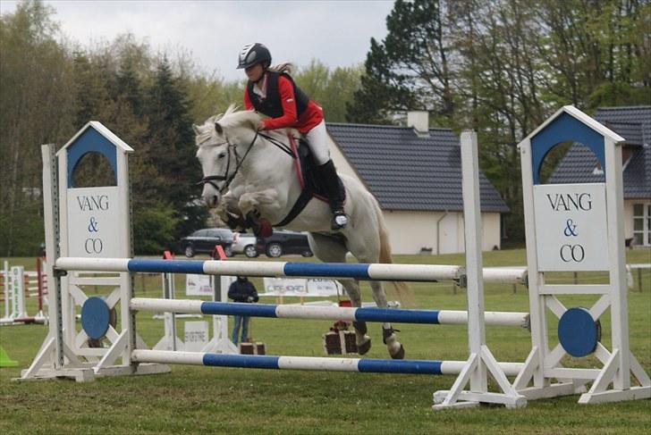 New Forest Odbjergs Batik - MORSØ  2010 MB billede 2