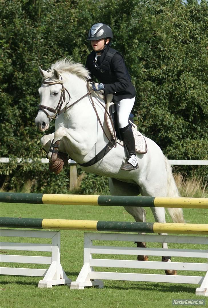 New Forest Odbjergs Batik - holdmesterskab 2009 :D LA spring <333  taget af: fotoMB billede 3