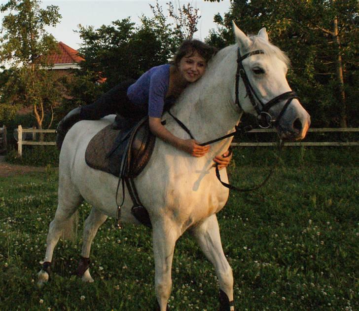 New Forest Odbjergs Batik - ligger på batik <<3  billede 10