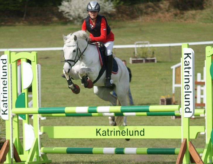 New Forest Odbjergs Batik - MORSØ  2010 MB billede 11