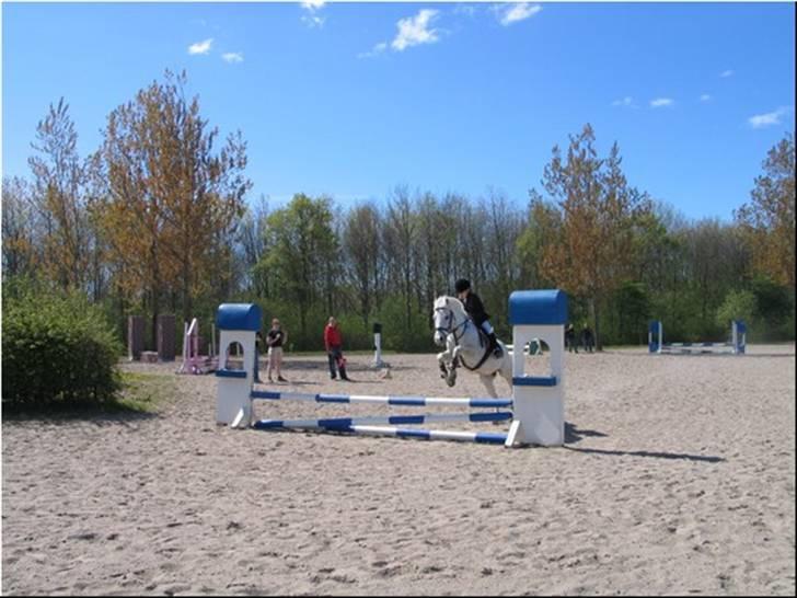 Anden særlig race † Fillur † *Alting* <3 - Min springpony, der redede mig igennem hele banen. Jeg er så stolt af dig fille. R.I.P!  billede 7