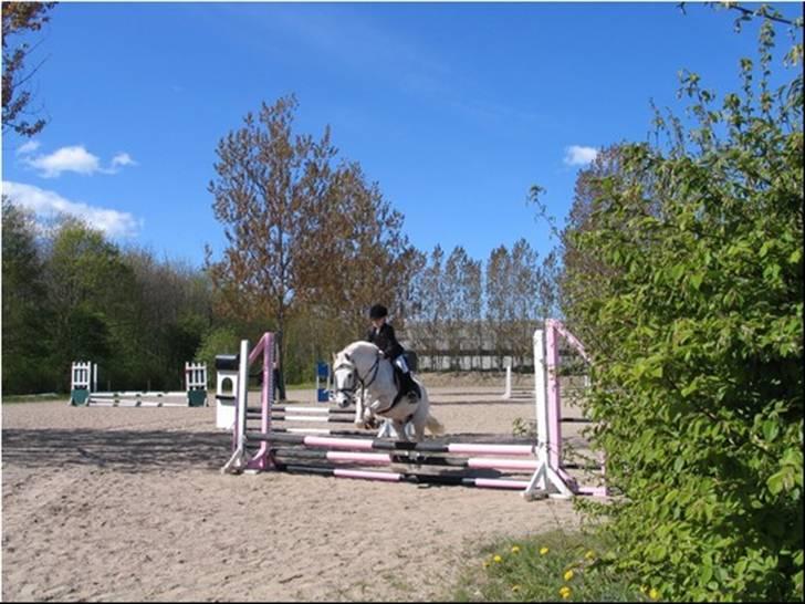 Anden særlig race † Fillur † *Alting* <3 - du skulle ikke være fløjet uden mig, jeg vil altid elske dig RIP billede 9