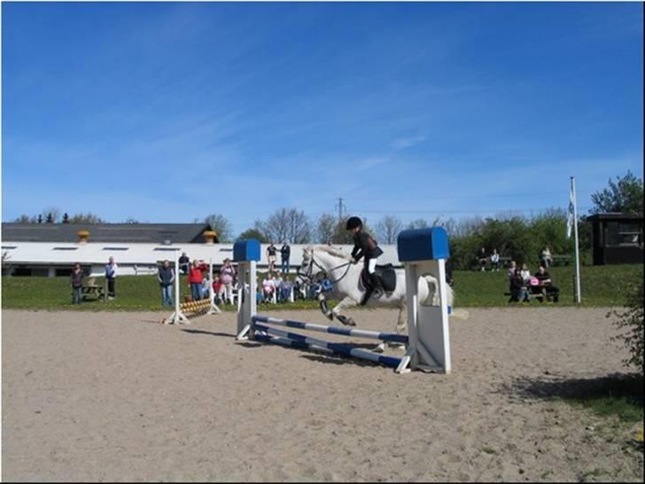 Anden særlig race † Fillur † *Alting* <3 - Mit første, sidste og eneste springstævne på dig. You're my only and one<3 Du var alt for perfekt tl at skulle væk:'( billede 10