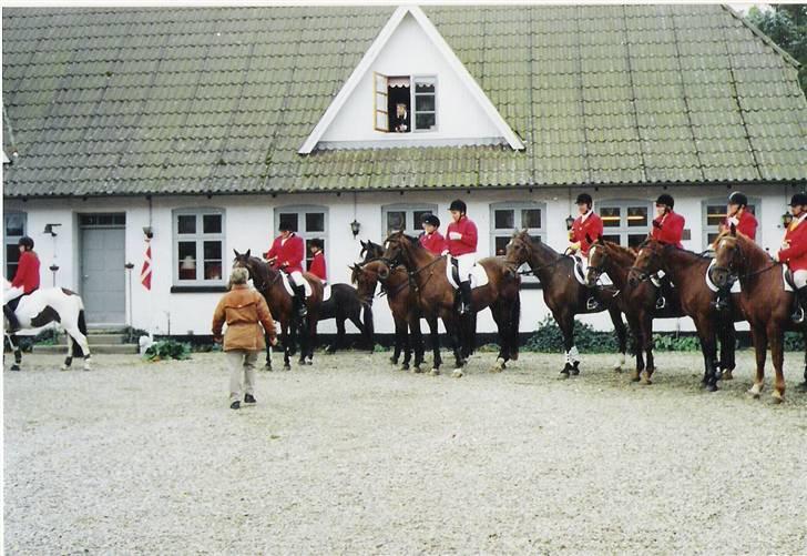 Dansk Varmblod CLAIRE - Jagt ved Blommenslyst. Claire og mig nr. 5 fra højre billede 7