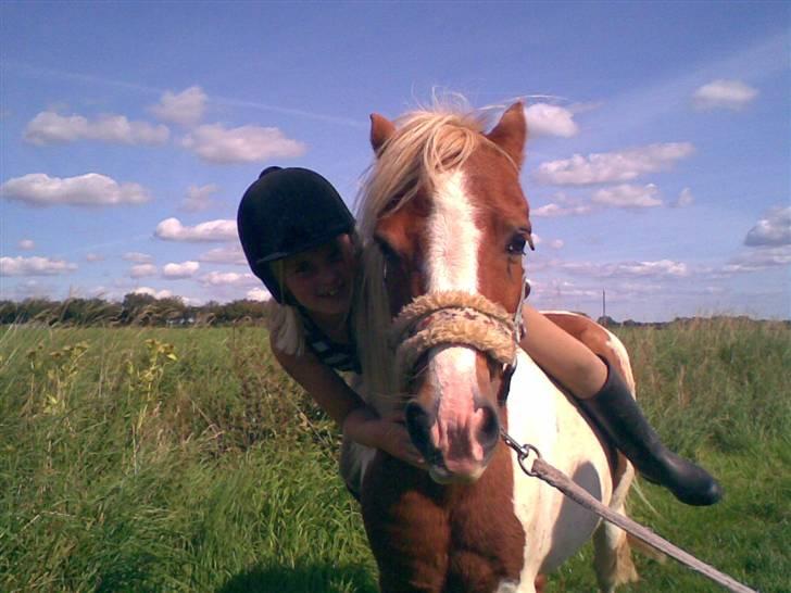 Anden særlig race Indianpaint gm.part R.I.P billede 2