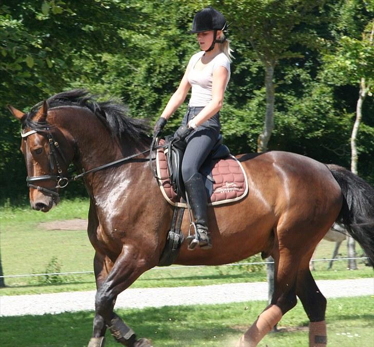 Oldenborg * Ebbe * - Træning juli 10 billede 20